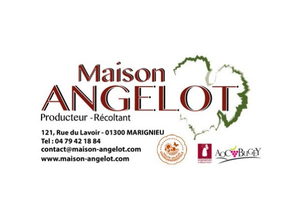 MAISON ANGELOT